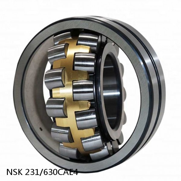 231/630CAE4 NSK Spherical Roller Bearing