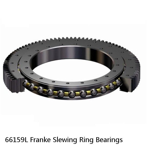 66159L Franke Slewing Ring Bearings