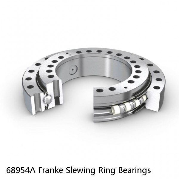 68954A Franke Slewing Ring Bearings