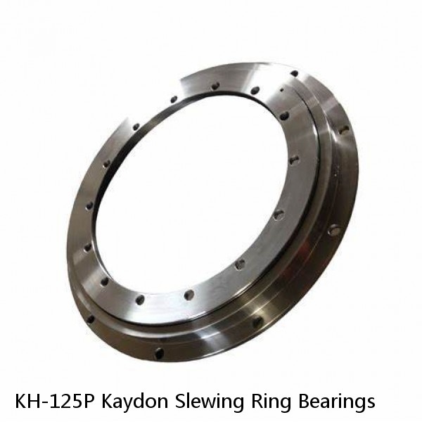 KH-125P Kaydon Slewing Ring Bearings