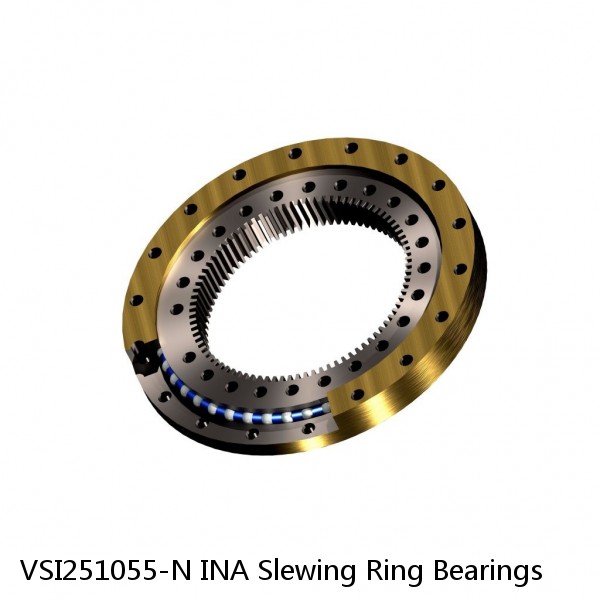 VSI251055-N INA Slewing Ring Bearings