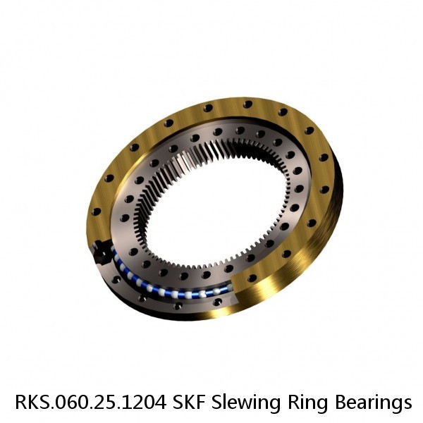 RKS.060.25.1204 SKF Slewing Ring Bearings