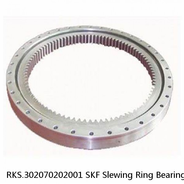 RKS.302070202001 SKF Slewing Ring Bearings