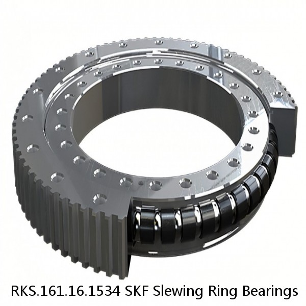 RKS.161.16.1534 SKF Slewing Ring Bearings