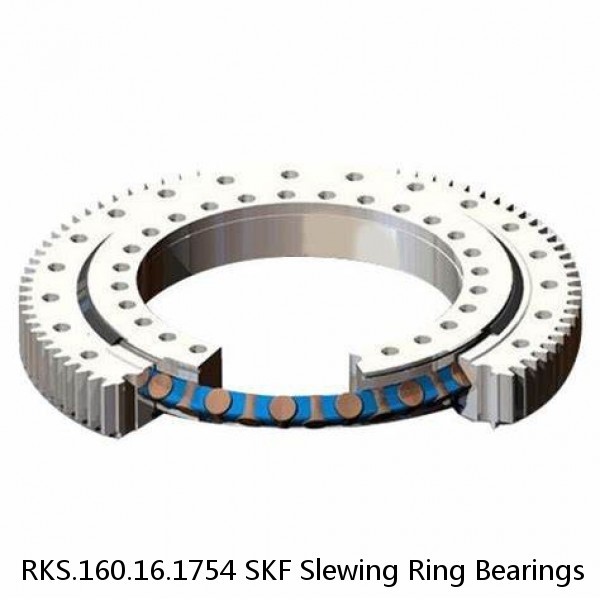 RKS.160.16.1754 SKF Slewing Ring Bearings