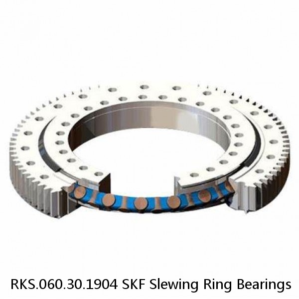 RKS.060.30.1904 SKF Slewing Ring Bearings