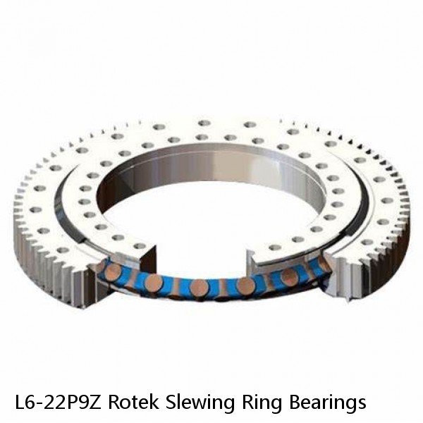 L6-22P9Z Rotek Slewing Ring Bearings