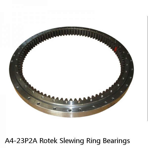 A4-23P2A Rotek Slewing Ring Bearings