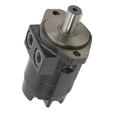 Case PU15V00021F1 Hydraulic Final Drive Motor