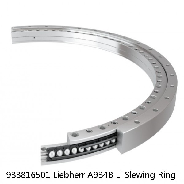 933816501 Liebherr A934B Li Slewing Ring