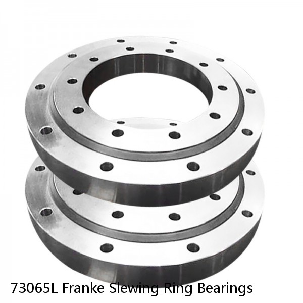 73065L Franke Slewing Ring Bearings