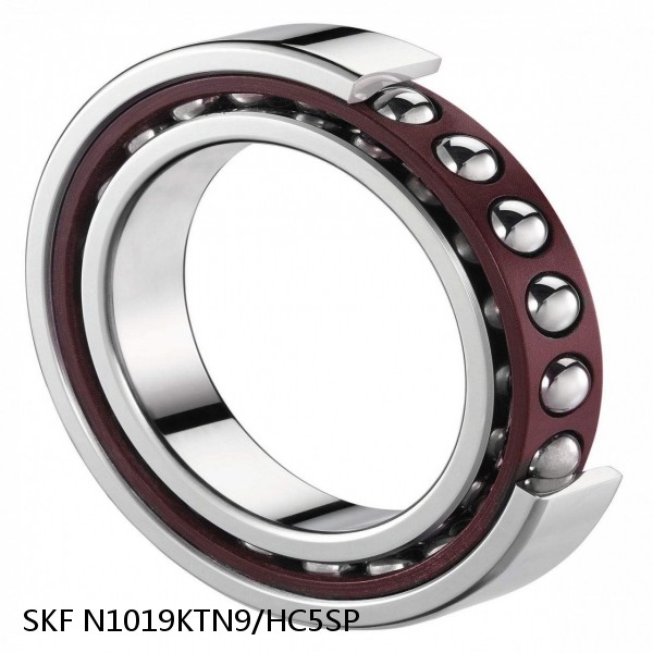 N1019KTN9/HC5SP SKF Super Precision,Super Precision Bearings,Cylindrical Roller Bearings,Single Row N 10 Series