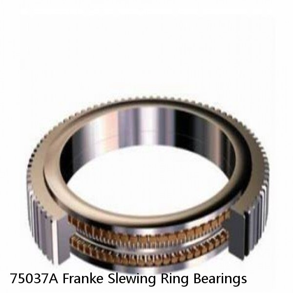 75037A Franke Slewing Ring Bearings