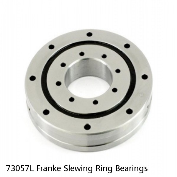 73057L Franke Slewing Ring Bearings