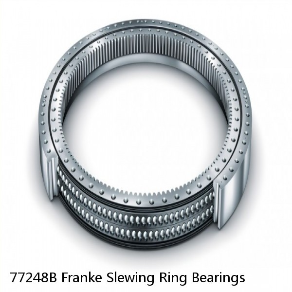 77248B Franke Slewing Ring Bearings