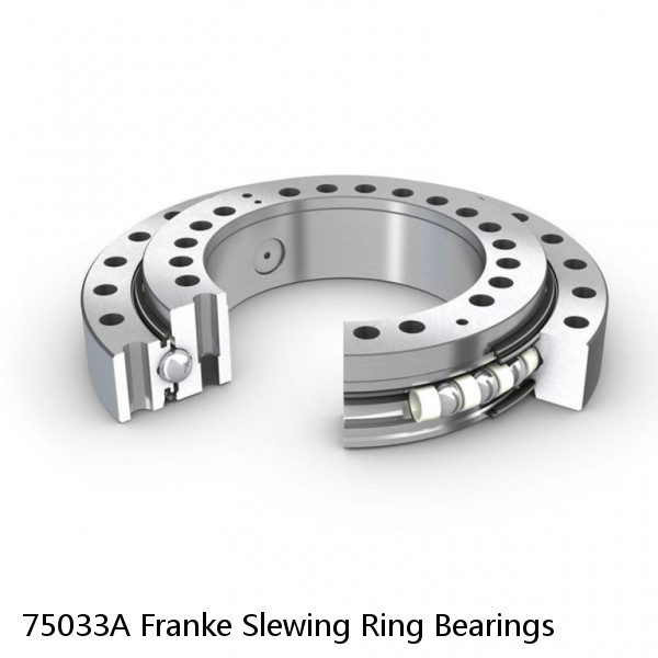 75033A Franke Slewing Ring Bearings