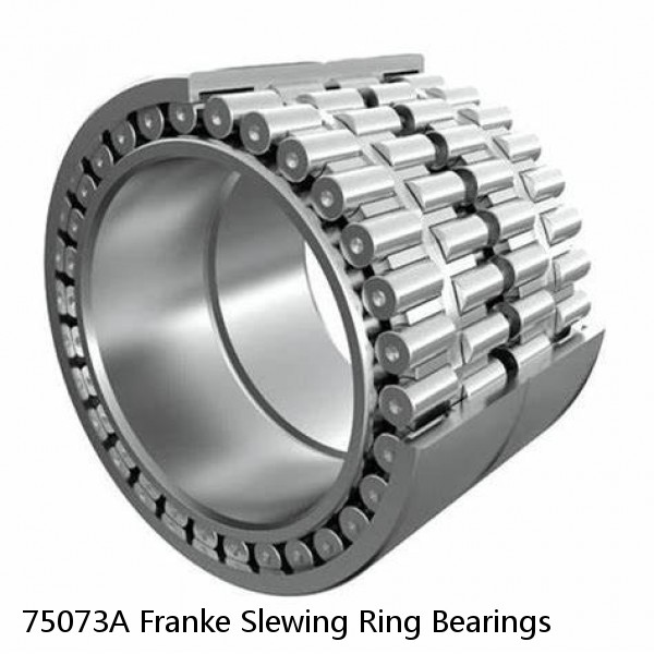 75073A Franke Slewing Ring Bearings