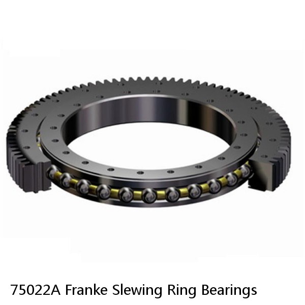 75022A Franke Slewing Ring Bearings