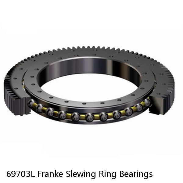 69703L Franke Slewing Ring Bearings