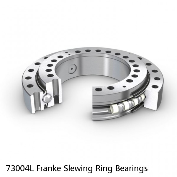 73004L Franke Slewing Ring Bearings