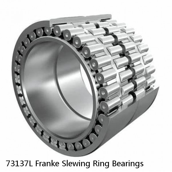 73137L Franke Slewing Ring Bearings