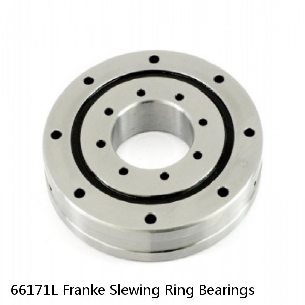 66171L Franke Slewing Ring Bearings