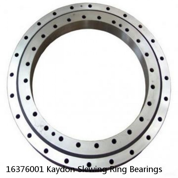16376001 Kaydon Slewing Ring Bearings