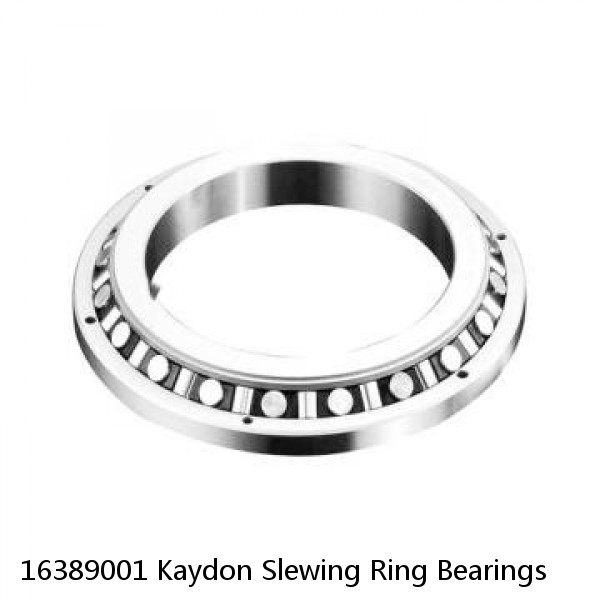 16389001 Kaydon Slewing Ring Bearings