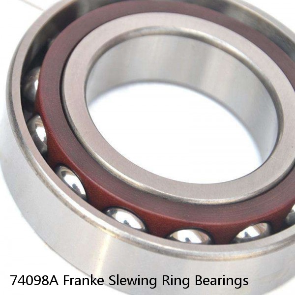 74098A Franke Slewing Ring Bearings