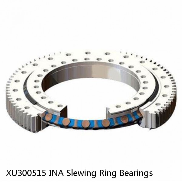 XU300515 INA Slewing Ring Bearings