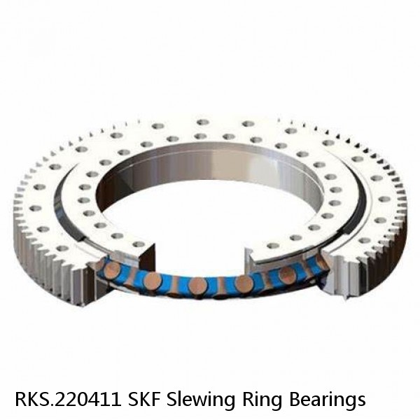 RKS.220411 SKF Slewing Ring Bearings