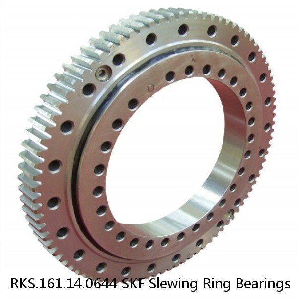 RKS.161.14.0644 SKF Slewing Ring Bearings