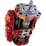 Case IH 2166 Reman Hydraulic Final Drive Motor